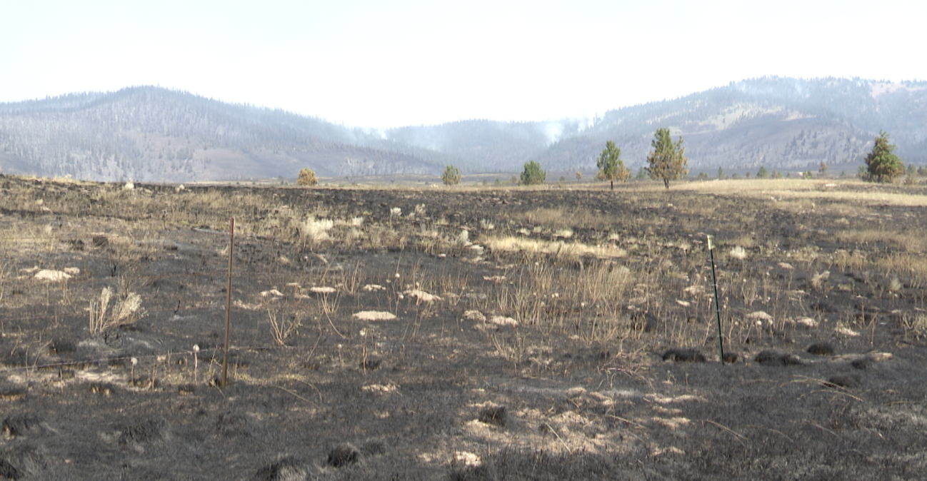 Elmo Fire grows to nearly 13,000 acres; public meeting set - Vimarsana News
